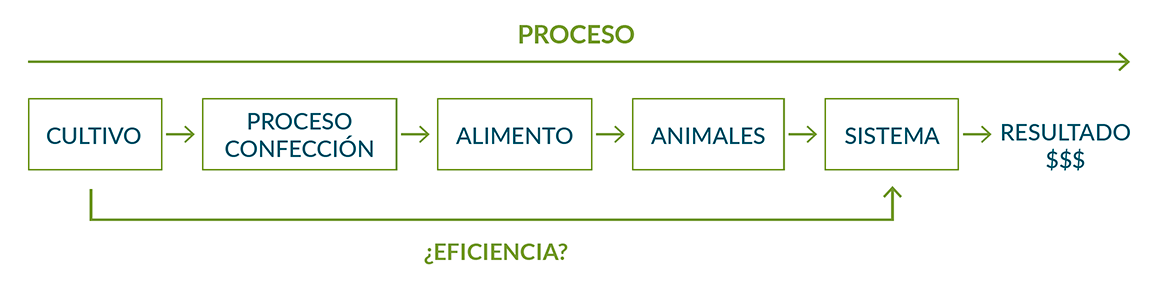 Esquema del proceso