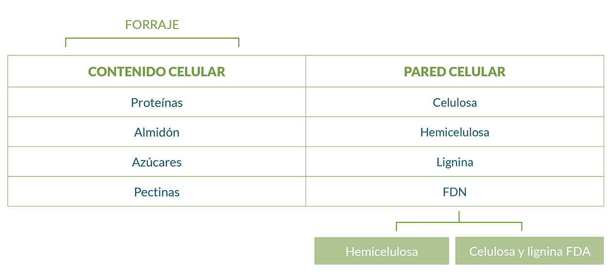 FDA y FDNi