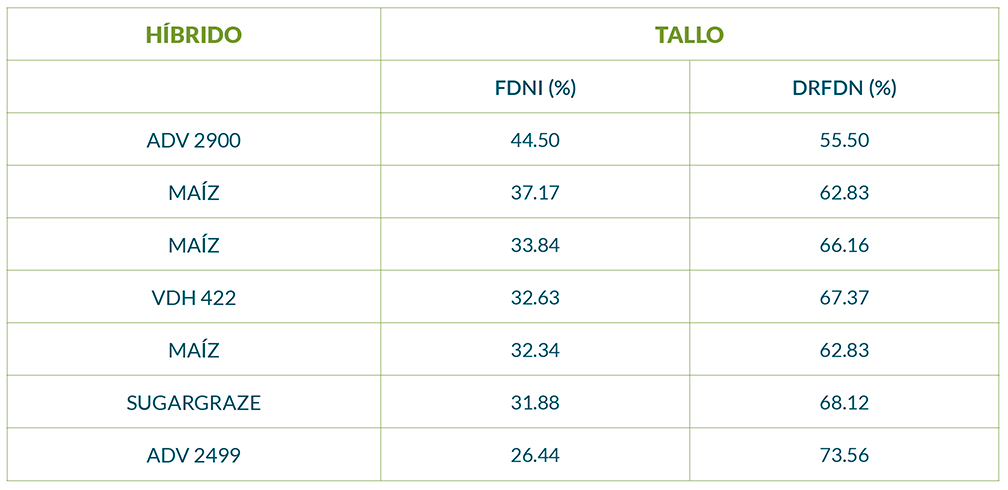 Silaje de sorgo vs silaje de maíz