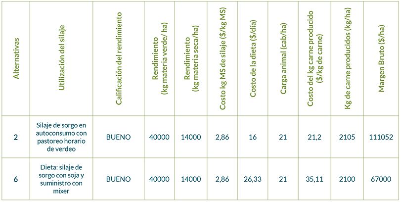 Rendimiento Bueno de Sorgo