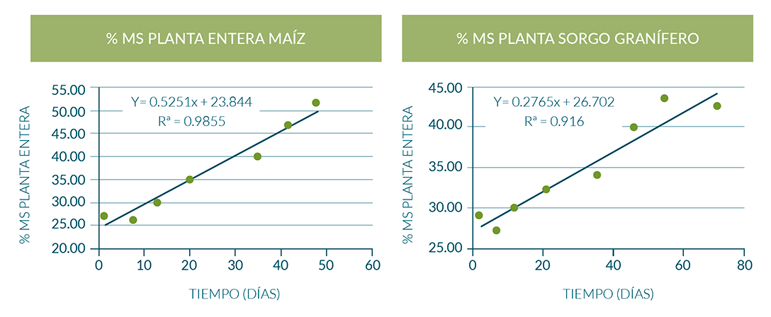 Tasa de desecación diaria de maíz y sorgo para ensilaje. Campaña 2015/16