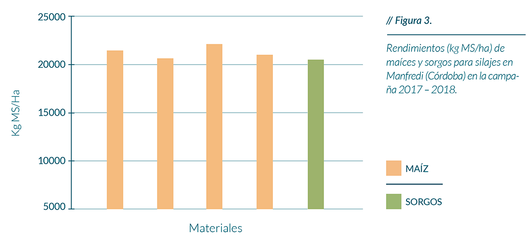 Rendimientos (kg MS/ha) de maíces y sorgos para silajes en Manfredi (Córdoba)