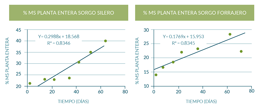 Tasa de desecación diaria de maíz y sorgo para ensilaje. Campaña 2015/16