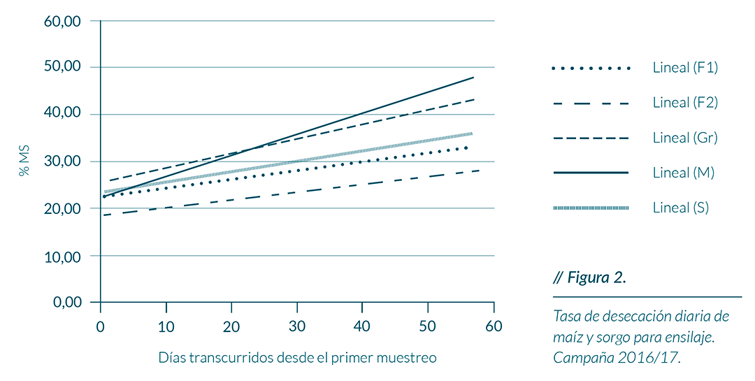 Tasa de desecación diaria de maíz y sorgo para ensilaje. Campaña 2016/17
