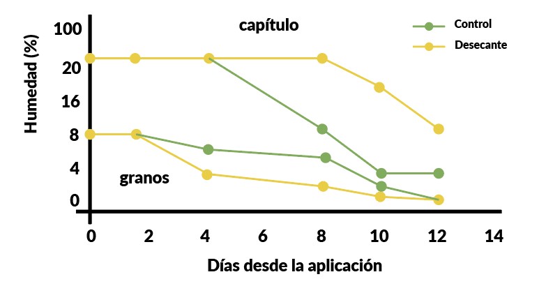 Gráfico 2