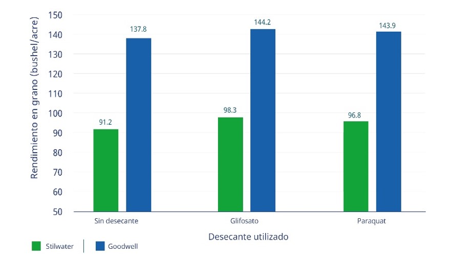 Gráfico 3