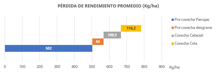 Gráfico 3