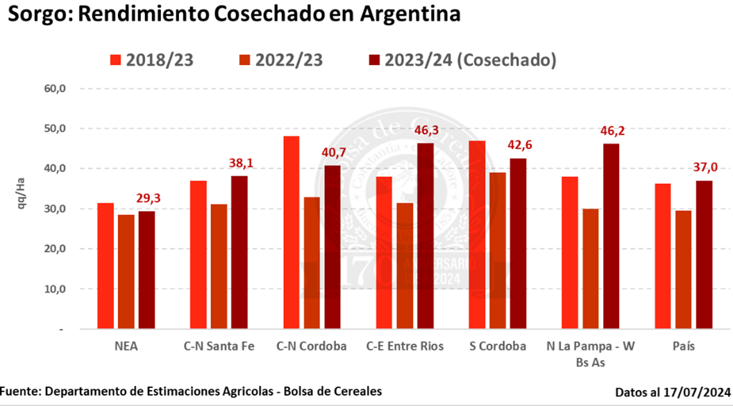 Gráfico 1