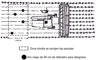 Imagen 10