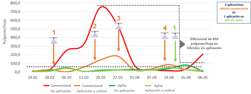 grafico