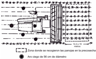 Imagen 8