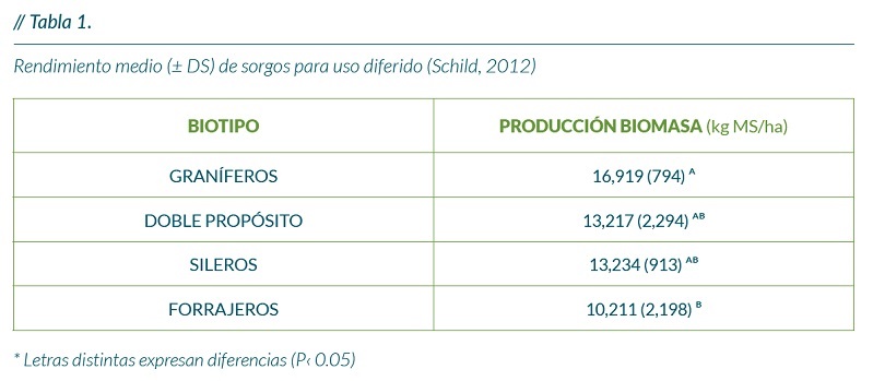 Rendimiento medio