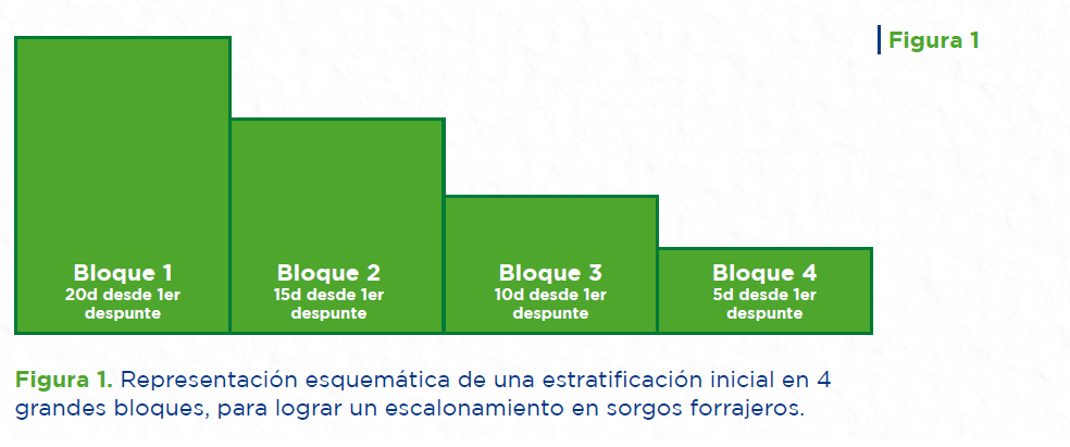 figura 1