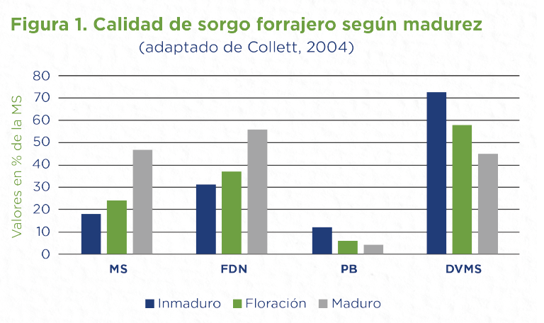 Figura 1: calidad de sorgo