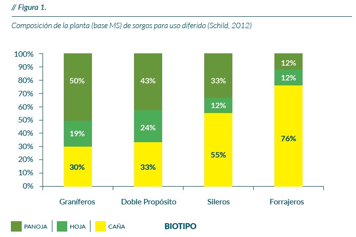 Composición de la planta