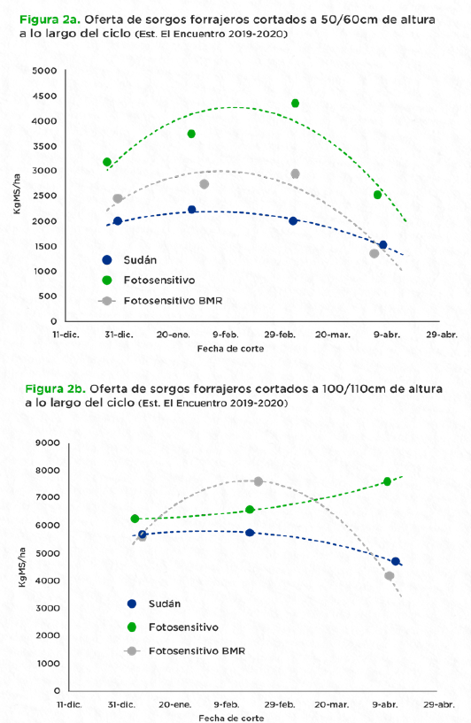 graficos de validacion