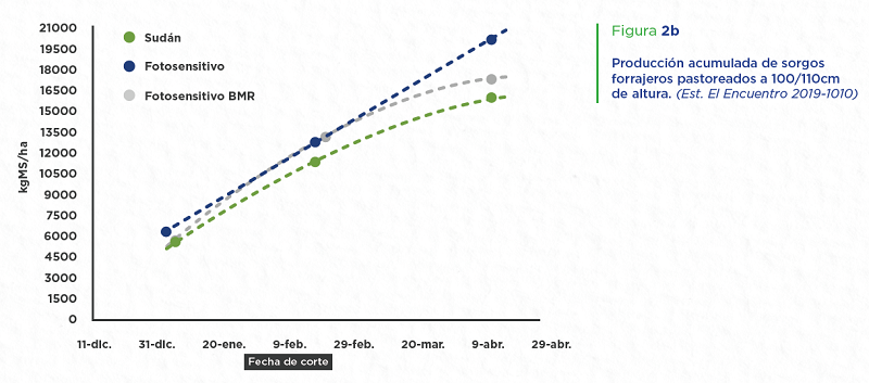PRODUCCION ACUMULADA DE SORGOS FORRAJEROS